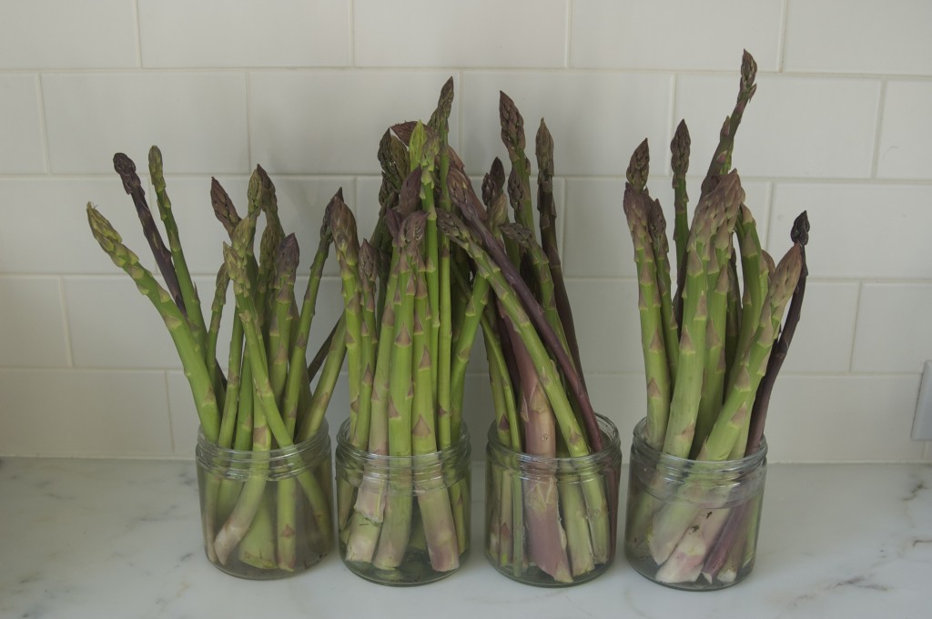 Fresh picked asparagus can keep for 4 or 5 days in a jar of water on the kitchen counter until you have time to process it