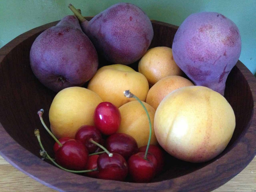 Fruits. by Sequoiah Wachenheim