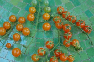 Cherry tomatoes on the table by Sequoiah Wachenheim